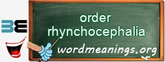 WordMeaning blackboard for order rhynchocephalia